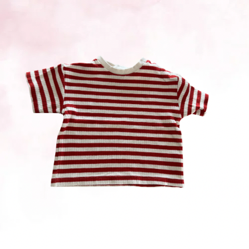 Hema t-shirts - Maat 74