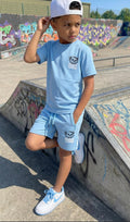 Icon setje beer - Blauw